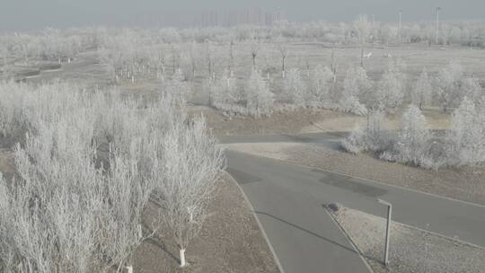 中国北方冬季雾凇冰雪冬至大寒唯美户外航拍