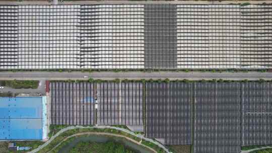 现代农业大棚种植基地航拍