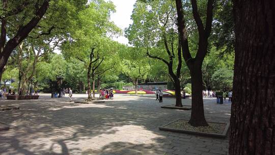 上海鲁迅公园4K实拍