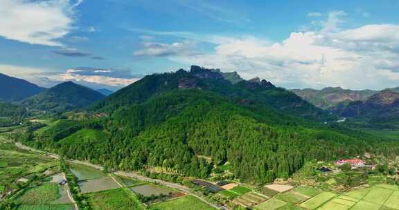 福建武夷山国家公园岩茶核心产区0356