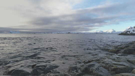 巴布亚企鹅跳上南极海岸