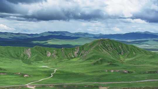 黄河湿地