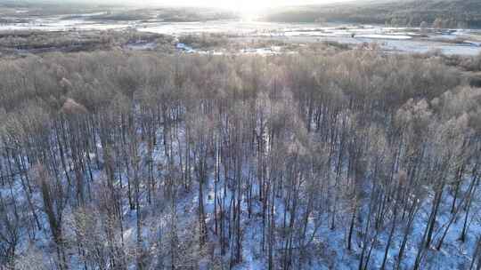 航拍雪原阳光树林雾凇