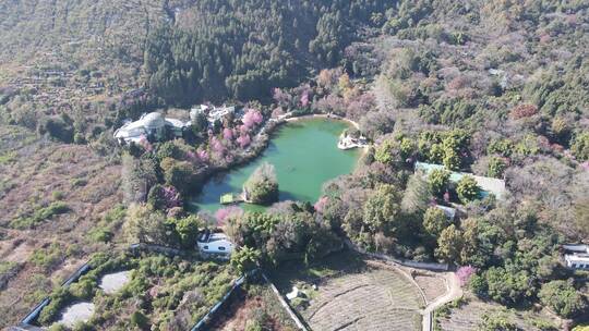 航拍大理蝴蝶泉景区