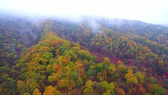 航拍吉林拉法山国家森林公园蛟河红叶谷秋景