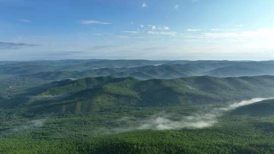 航拍辽阔绿色山林云雾风景