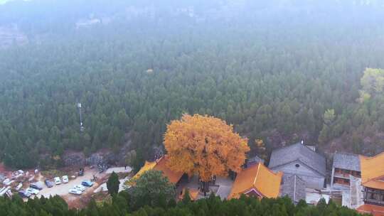 山东济南淌豆寺秋天航拍寺庙