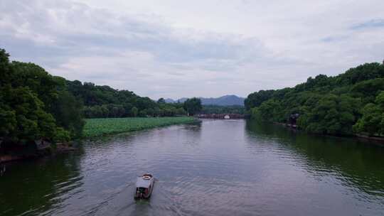 杭州西湖航拍 西湖荷花航拍