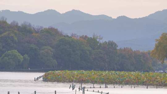 杭州西湖风景