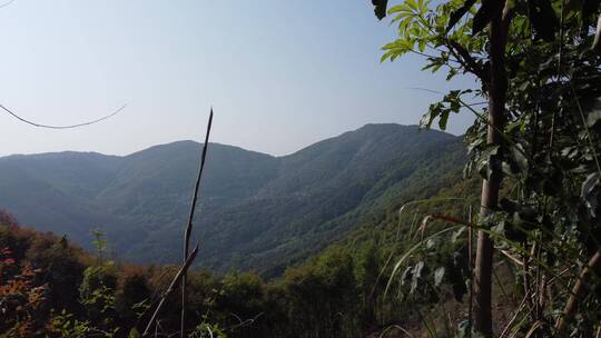 航拍风电 风景