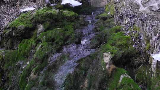 长满青苔的山间小水流