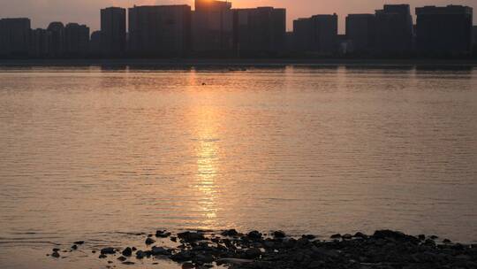 钱塘江夕照飞鸟