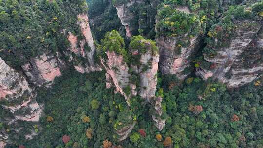 湖南张家界武陵源袁家界地质奇观