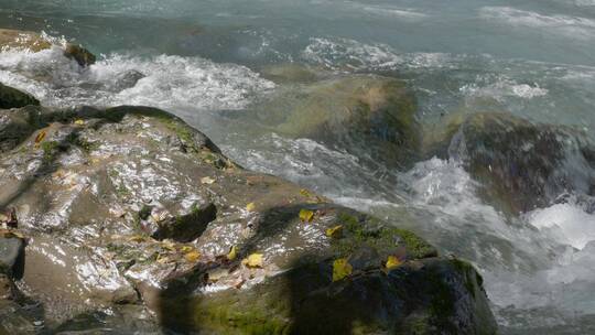 夏日山泉流水大自然小溪空镜头