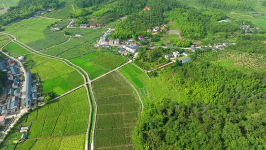 田野 村庄 航拍 8