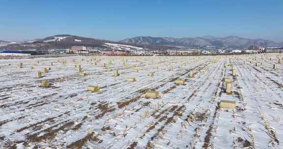 积雪覆盖的乡村田野景象