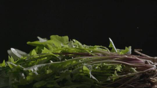 婆婆丁野菜LOG视频素材