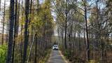秋季林间小路车辆驶过高清在线视频素材下载