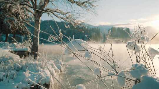 冬季湖边雪景