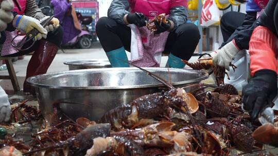 海鲜食材加工销售