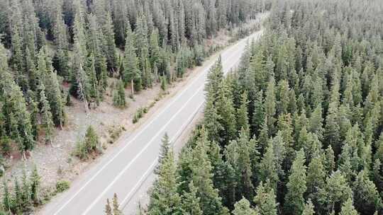 美国科罗拉多州常青树附近高山山口骑自行车