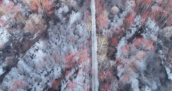 航拍大兴安岭早春雪原红柳小路