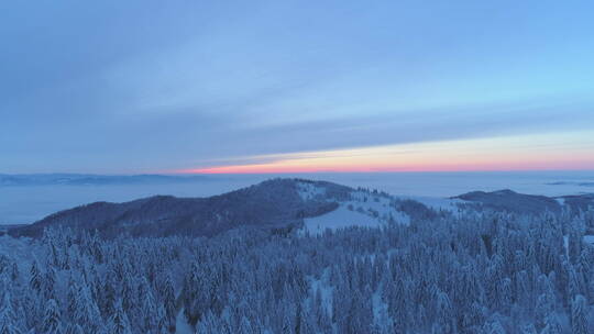 无人机俯瞰日落下白雪覆盖的森林树木和日出