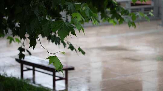 古建筑雨景唯美雨景雨季