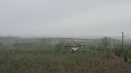 农业大疆植保无人机洒农药现代农业科技视频素材模板下载
