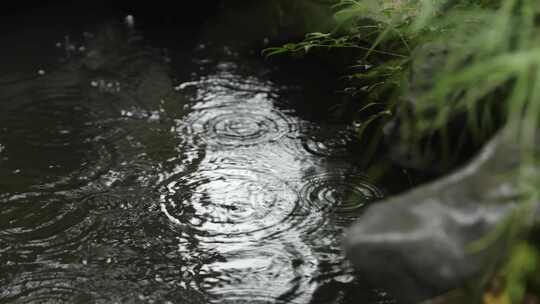 下雨天水波纹池塘水面水滴氛围中式东方禅意