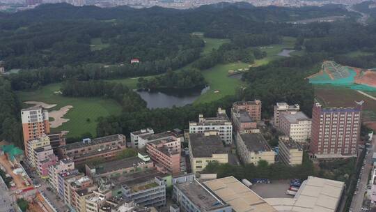 航拍深圳龙华区观澜城市科学绿化