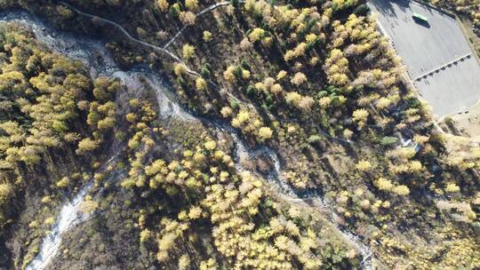 航拍高山林海川西风光航拍4k素材