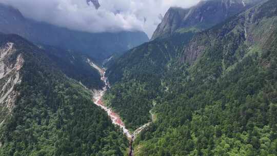 航拍四川甘孜贡嘎山区南门关沟森林河谷风光