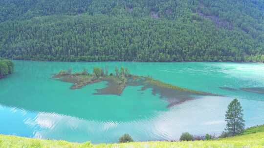 新疆北疆阿勒泰喀纳斯景区卧龙湾夏天风景