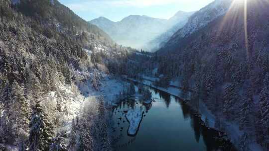 航拍阿尔卑斯山国王湖雪景森林树林高山山脉