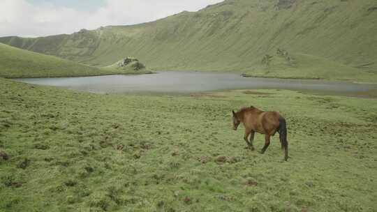 亚速尔群岛，葡萄牙，科尔沃，科尔沃火山岛