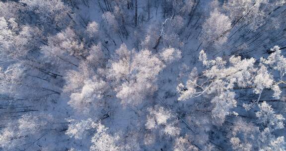 航拍大兴安岭冰雪雾凇