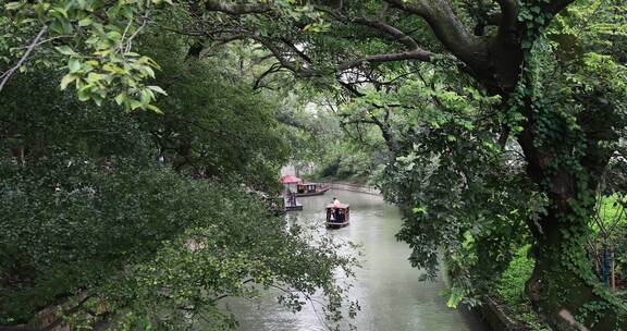 丛林河道小船 江南水乡