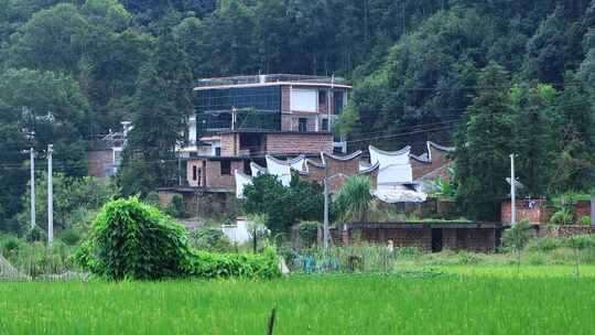 农村乡下人家农村房子农业农村乡村振兴视频素材模板下载