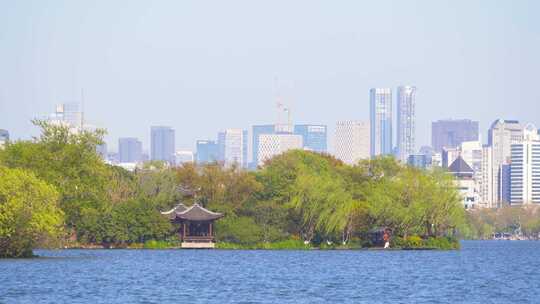 杭州西湖春天风景