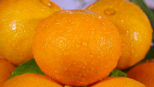 橙子合集素材