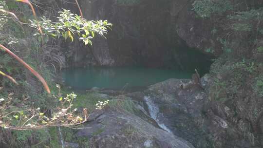 阳光下的山间水潭升格特写