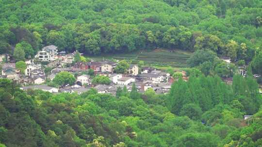 杭州西湖龙井翁家山春天村庄风景