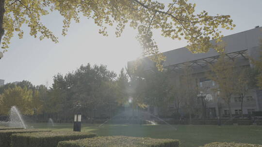 清华大学校园空镜