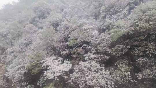 安徽黄山索道缆车雪山美景风景视频素材