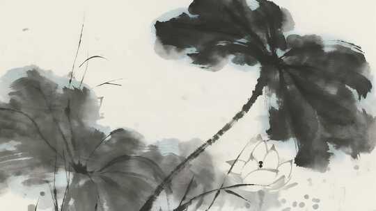 秋分节气水墨书法风传统文化视频
