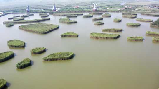 山东寿光巨淀湖风光