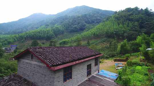 航拍武夷山桐木麻粟村正山小种老枞红茶山场