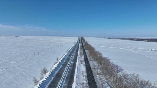 穿越草原的高速公路国道汽车白毛风风吹雪