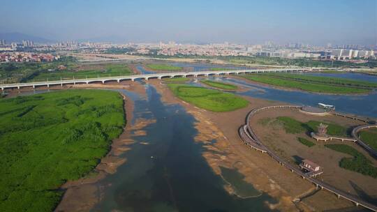 厦门航拍潭潭尾湿地公园风光